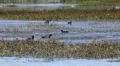 100302_Zacatec 061